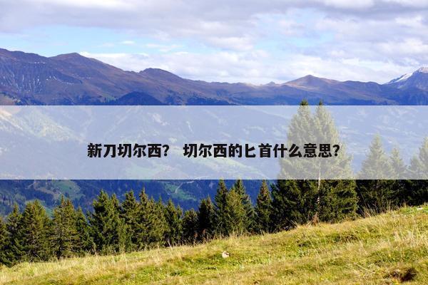 新刀切尔西？ 切尔西的匕首什么意思？
