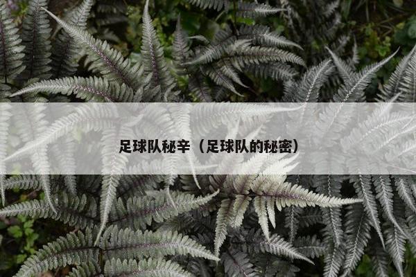 足球队秘辛（足球队的秘密）