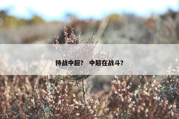 待战中超？ 中超在战斗？