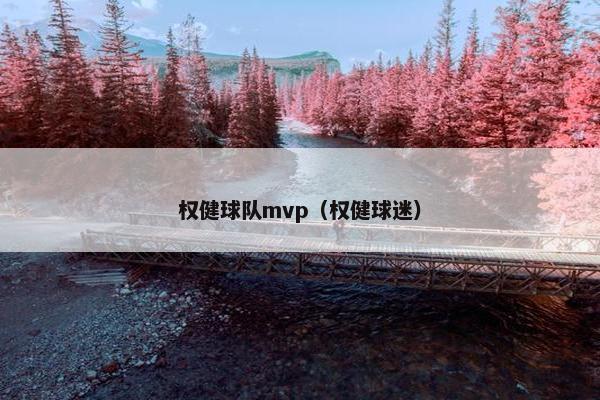 权健球队mvp（权健球迷）