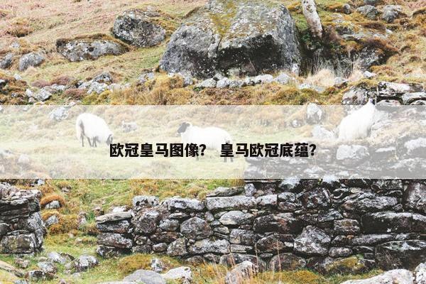 欧冠皇马图像？ 皇马欧冠底蕴？