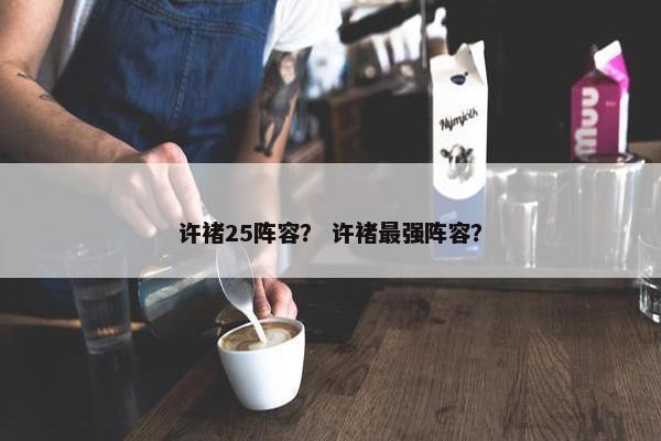 许褚25阵容？ 许褚最强阵容？