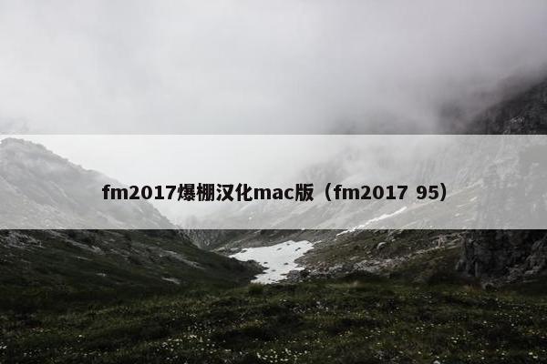 fm2017爆棚汉化mac版（fm2017 95）