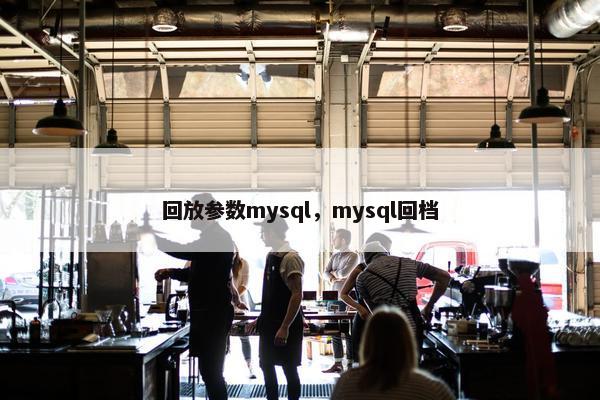 回放参数mysql，mysql回档
