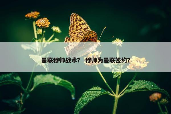 曼联穆帅战术？ 穆帅为曼联签约？