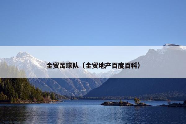 金贸足球队（金贸地产百度百科）