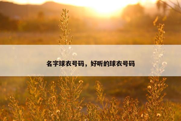 名字球衣号码,好听的球衣号码 名字球衣号码,好听的球衣号码