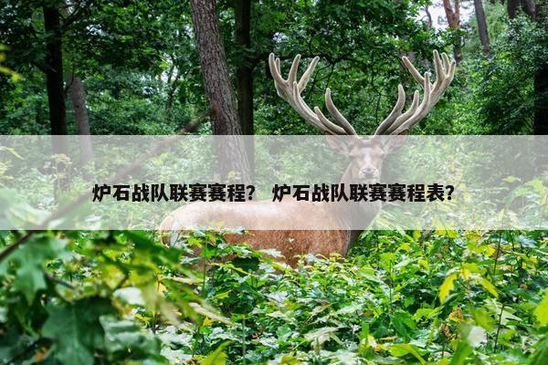 炉石战队联赛赛程？ 炉石战队联赛赛程表？