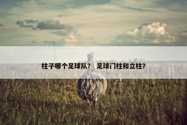 柱子哪个足球队？ 足球门柱和立柱？