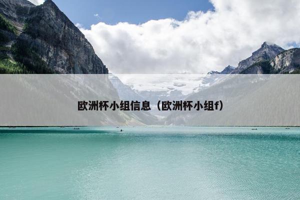 欧洲杯小组信息（欧洲杯小组f）