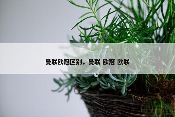 曼联欧冠区别，曼联 欧冠 欧联