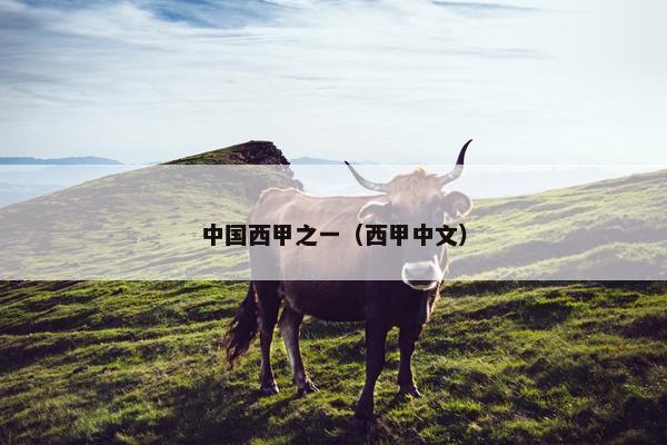 中国西甲之一（西甲中文）