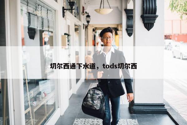 切尔西通下水道，tods切尔西