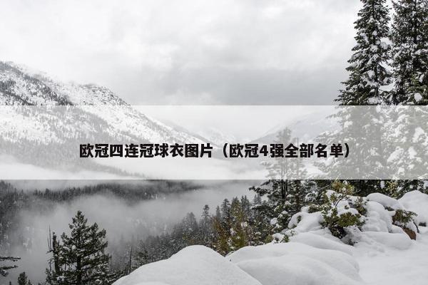 欧冠四连冠球衣图片（欧冠4强全部名单）