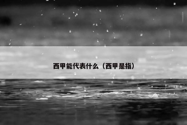 西甲能代表什么（西甲是指）