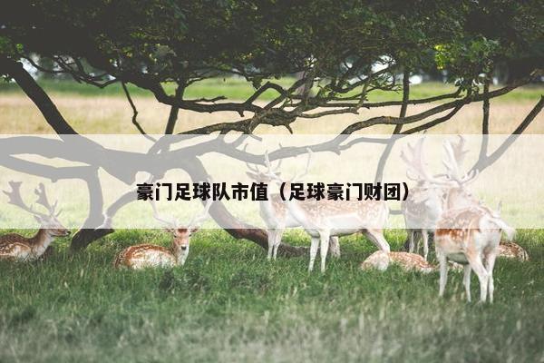 豪门足球队市值（足球豪门财团）