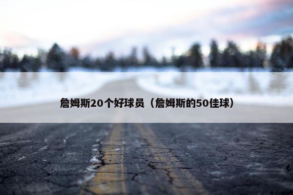 詹姆斯20个好球员（詹姆斯的50佳球）