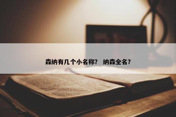 森纳有几个小名称？ 纳森全名？