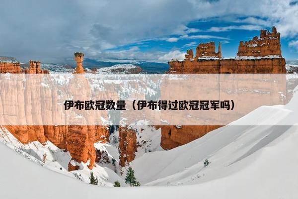 伊布欧冠数量（伊布得过欧冠冠军吗）