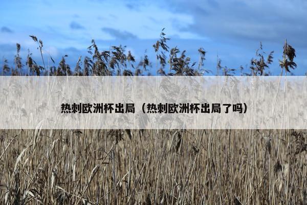 热刺欧洲杯出局（热刺欧洲杯出局了吗）