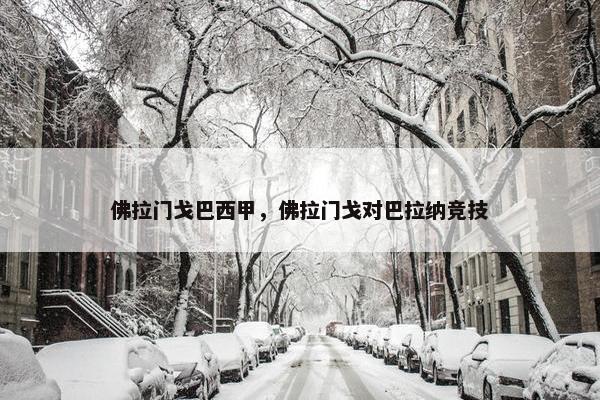 佛拉门戈巴西甲，佛拉门戈对巴拉纳竞技