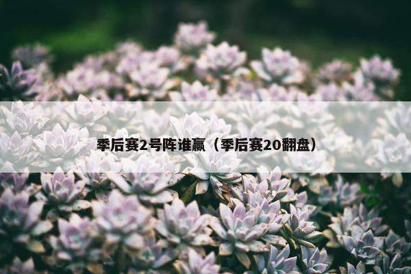 季后赛2号阵谁赢（季后赛20翻盘）