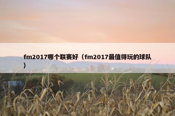 fm2017哪个联赛好（fm2017最值得玩的球队）