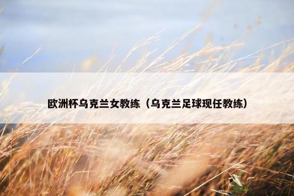 欧洲杯乌克兰女教练（乌克兰足球现任教练）