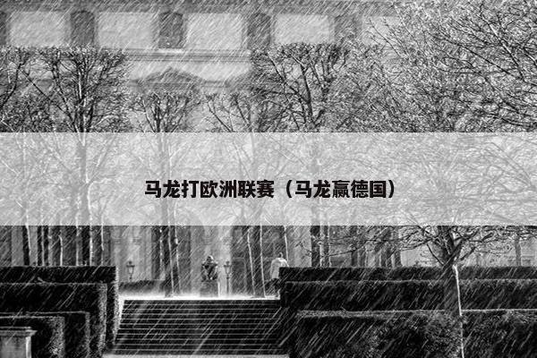 马龙打欧洲联赛（马龙赢德国）