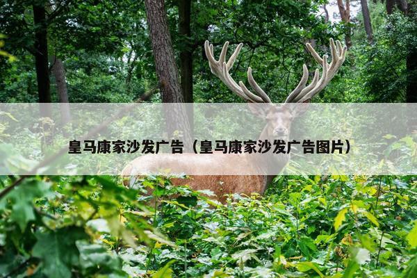 皇马康家沙发广告（皇马康家沙发广告图片）