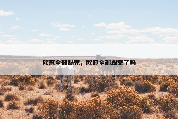 欧冠全部踢完，欧冠全部踢完了吗