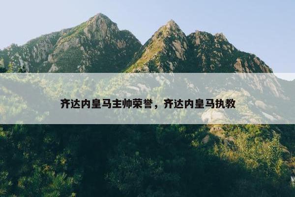 齐达内皇马主帅荣誉，齐达内皇马执教
