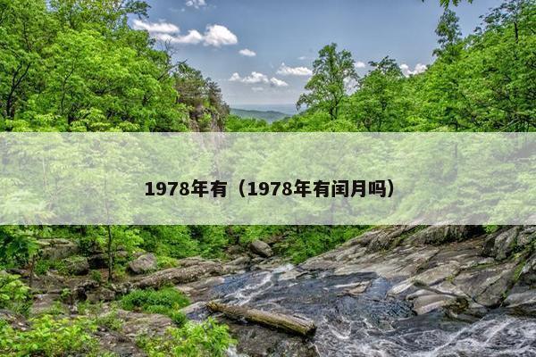1978年有（1978年有闰月吗）