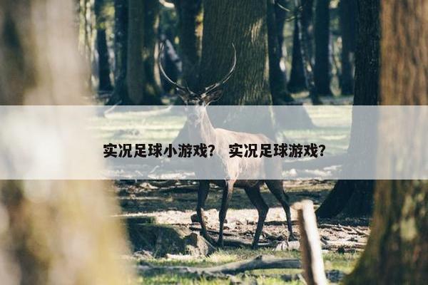实况足球小游戏？ 实况足球游戏？