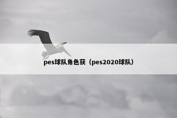pes球队角色获（pes2020球队）