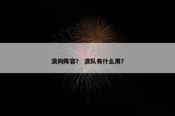 浪狗阵容? 浪队有什么用? 浪狗阵容? 浪队有什么用?