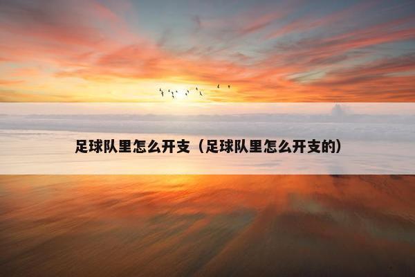足球队里怎么开支（足球队里怎么开支的）