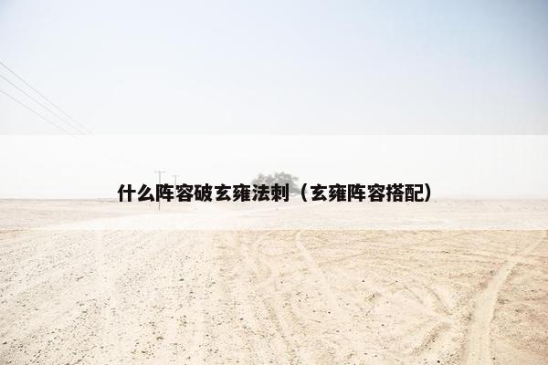 什么阵容破玄雍法刺（玄雍阵容搭配）