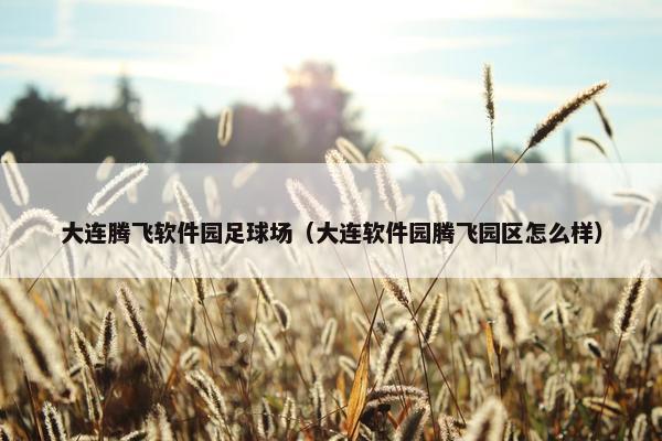 大连腾飞软件园足球场（大连软件园腾飞园区怎么样）
