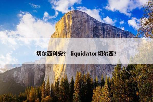 切尔西利安？ liquidator切尔西？