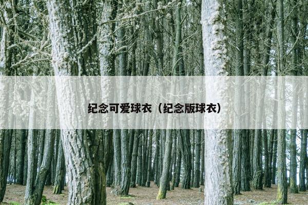 纪念可爱球衣（纪念版球衣）