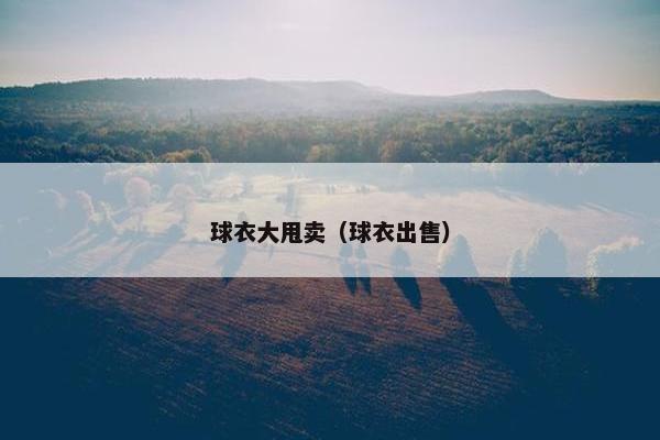 球衣大甩卖（球衣出售）