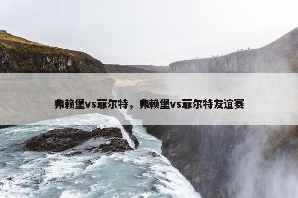 弗赖堡vs菲尔特，弗赖堡vs菲尔特友谊赛