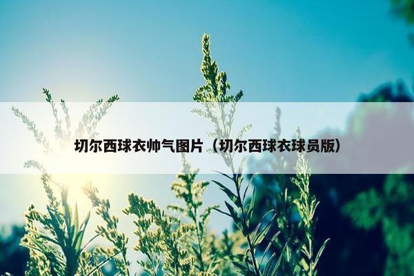 切尔西球衣帅气图片（切尔西球衣球员版）