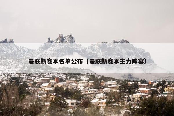 曼联新赛季名单公布（曼联新赛季主力阵容）