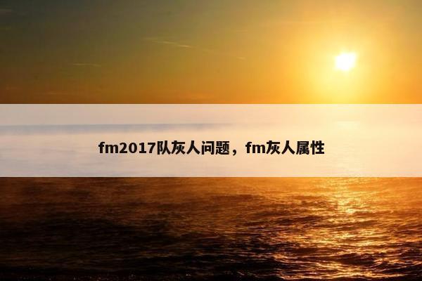 fm2017队灰人问题，fm灰人属性