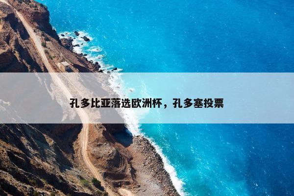 孔多比亚落选欧洲杯，孔多塞投票