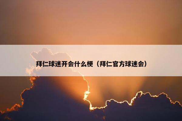 拜仁球迷开会什么梗（拜仁官方球迷会）