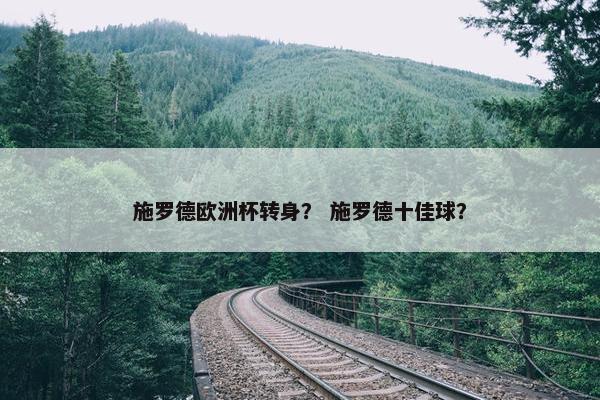 施罗德欧洲杯转身？ 施罗德十佳球？