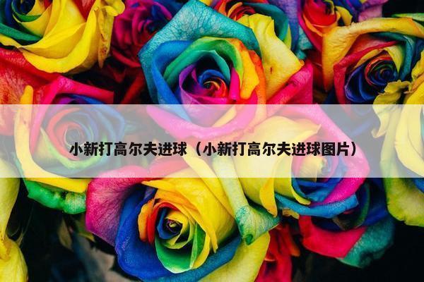 小新打高尔夫进球（小新打高尔夫进球图片）